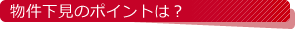 ���������̃|�C���g�́H